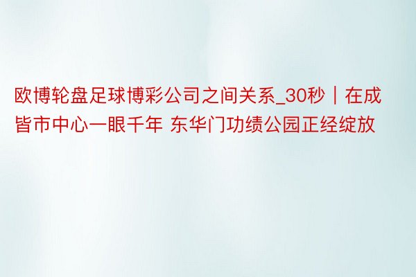 欧博轮盘足球博彩公司之间关系_30秒｜在成皆市中心一眼千年 东华门功绩公园正经绽放