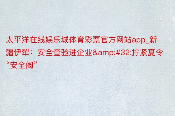 太平洋在线娱乐城体育彩票官方网站app_新疆伊犁：安全查验进企业&#32;拧紧夏令“安全阀”