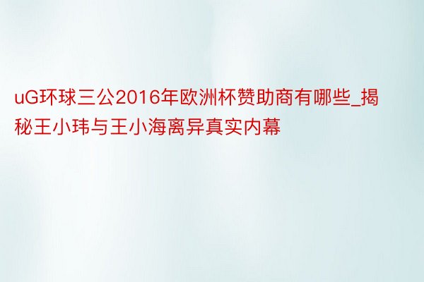 uG环球三公2016年欧洲杯赞助商有哪些_揭秘王小玮与王小海离异真实内幕