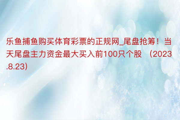 乐鱼捕鱼购买体育彩票的正规网_尾盘抢筹！当天尾盘主力资金最大买入前100只个股 （2023.8.23）